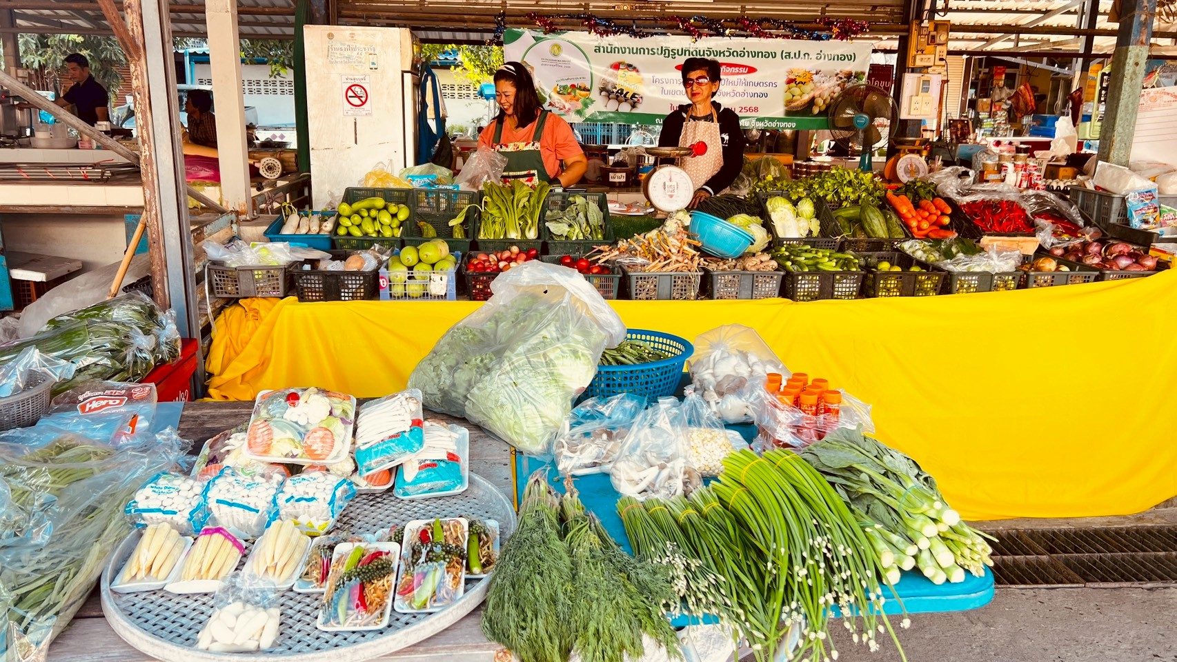 title -  ส.ป.ก.อ่างทอง จัดกิจกรรมโครงการส่งความสุขปีใหม่มอบให้เกษตรกรในเขตปฏิรูปที่ดินจังหวัดอ่างทอง กระทรวงเกษตรและสหกรณ์ ประจำปี พ.ศ. 2569  ณ ตลาดบ้านมะขาม ตำบลจรเข้ร้อง อำเภอไชโย จังหวัดอ่างทอง